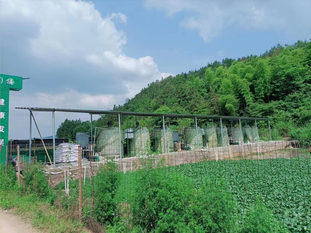 牛蛙養殖污水處理除磷加藥